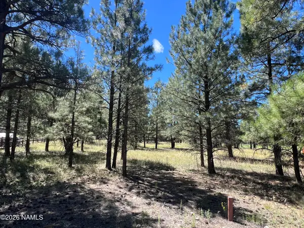 2935 W St Andrews, Williams, AZ 86046