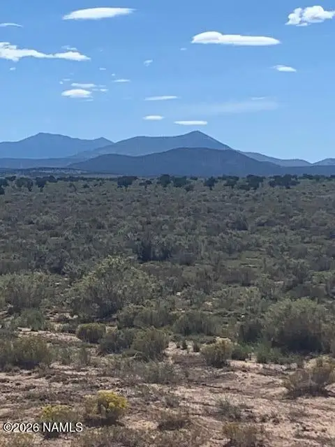 63 E Wesleyan Avenue, Williams, AZ 86046 - #1