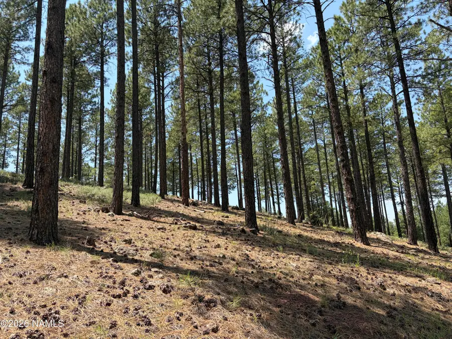 3635 S Bridle Path, Flagstaff, AZ 86005 - #2