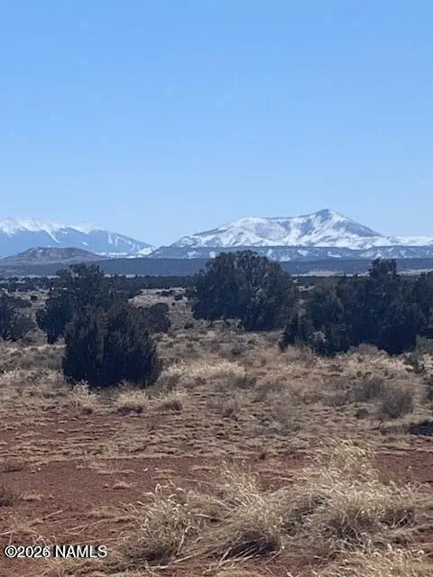 103 W Central Street, Williams, AZ 86046 - #1