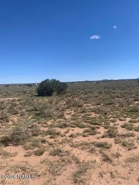 103 W Central Street, Williams, AZ 86046 - #2