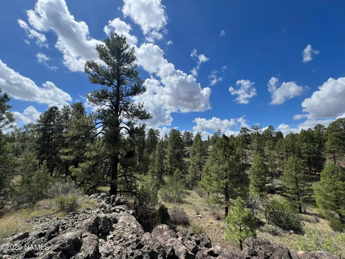5036 N Cataract Drive, Williams, AZ 86046 - #1