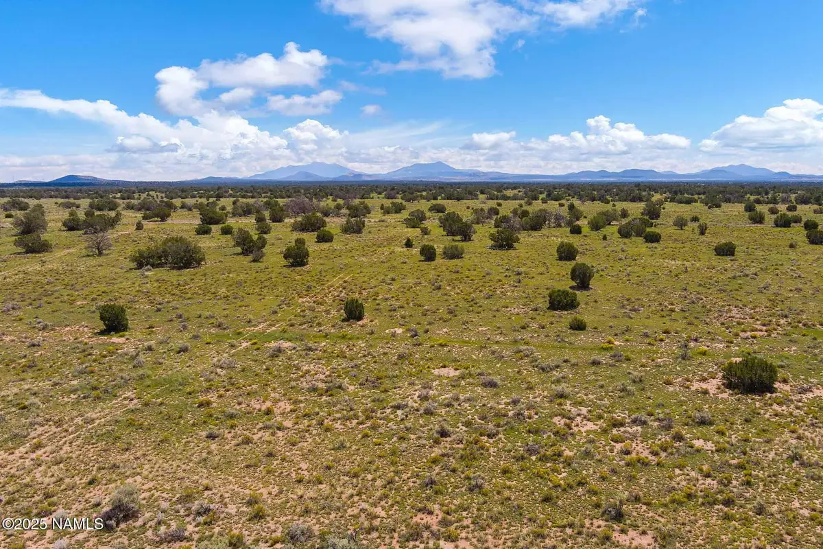 4441 Indian Meadows Road, Williams, AZ 86046 - #1