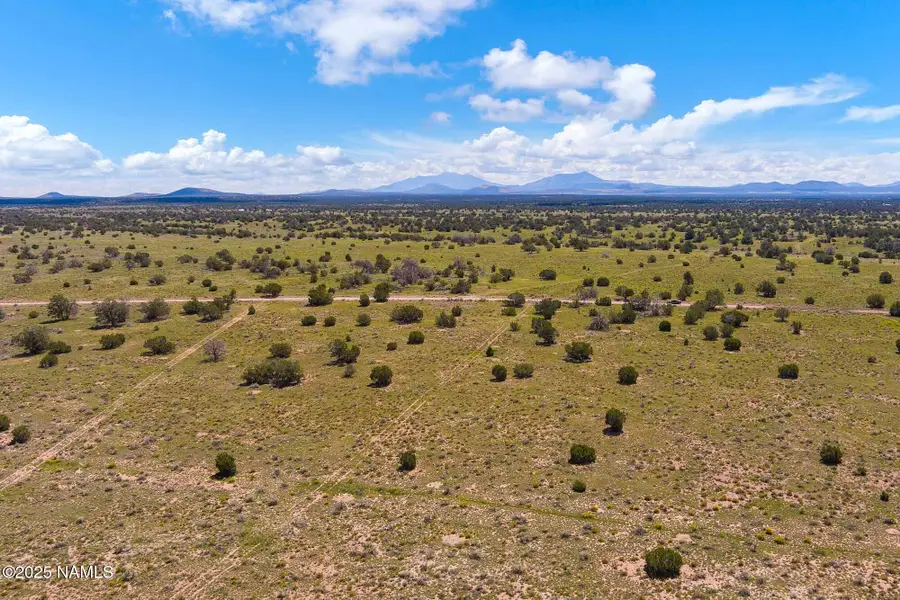4441 Indian Meadows Road, Williams, AZ 86046 - #2