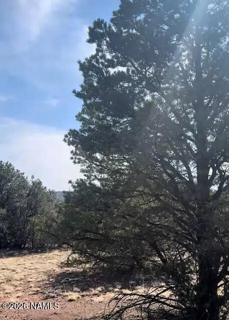 1462 E Barbara Road, Williams, AZ 86046 - #3