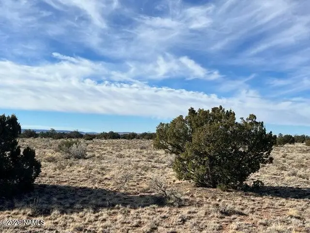 1282 Watchtower, Lot A - 12 Ac, Williams, AZ 86046 - #3