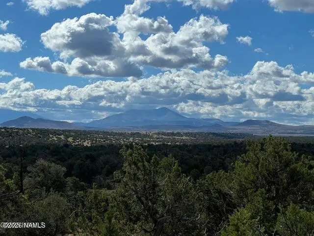 1282 Watchtower, Lot B - 12 Ac, Williams, AZ 86046 - #2