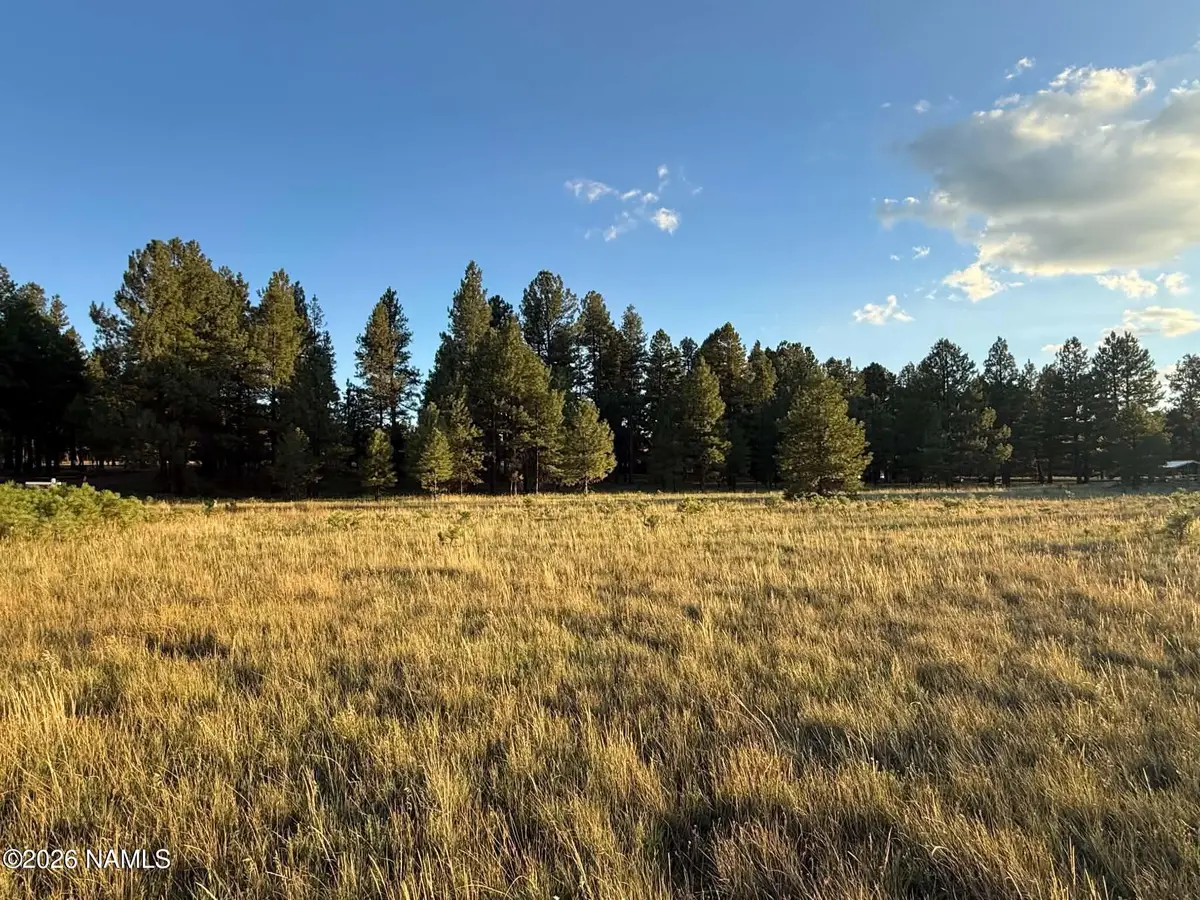184 High Point Drive, Mormon Lake, AZ 86038 - #1