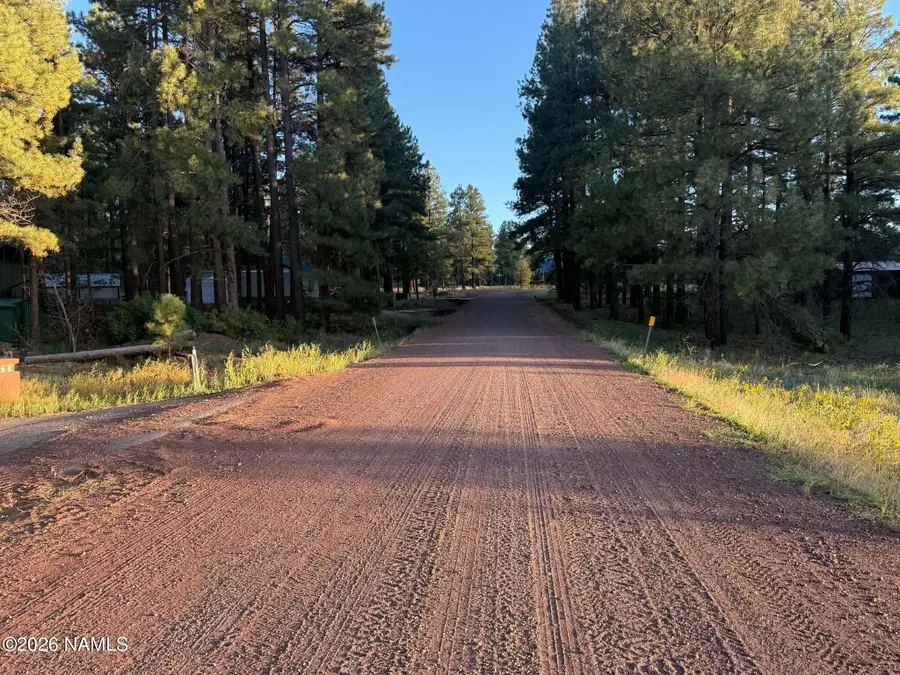 184 High Point Drive, Mormon Lake, AZ 86038 - #3