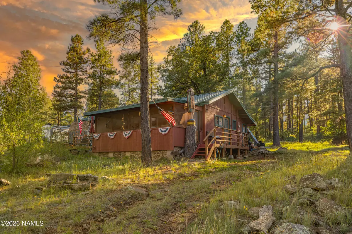 220 Lake View Drive, Mormon Lake, AZ 86038 - #1