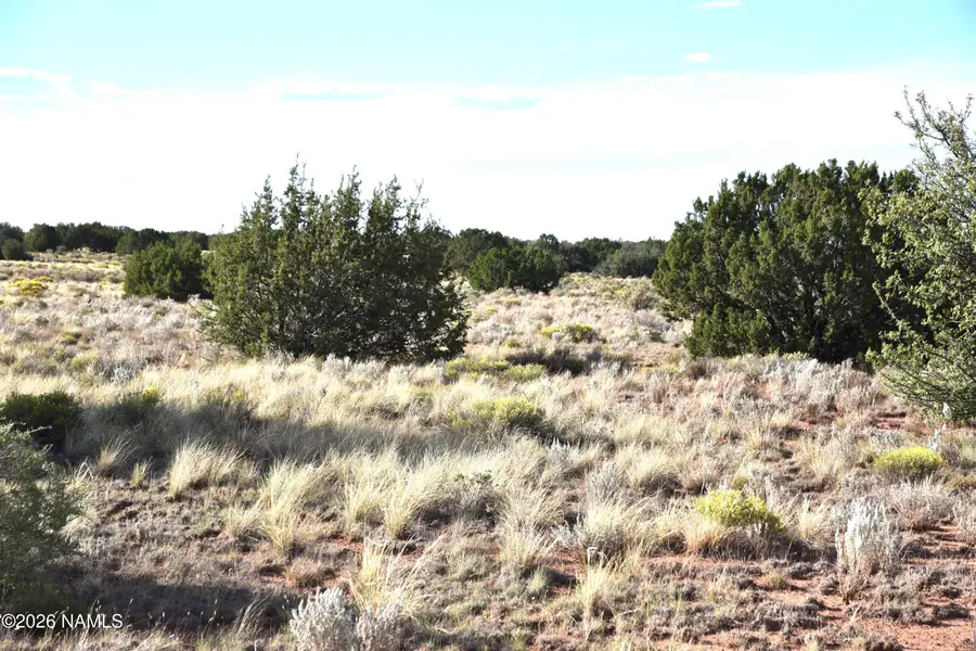 000 Santa Clara Road, Williams, AZ 86046 - #3