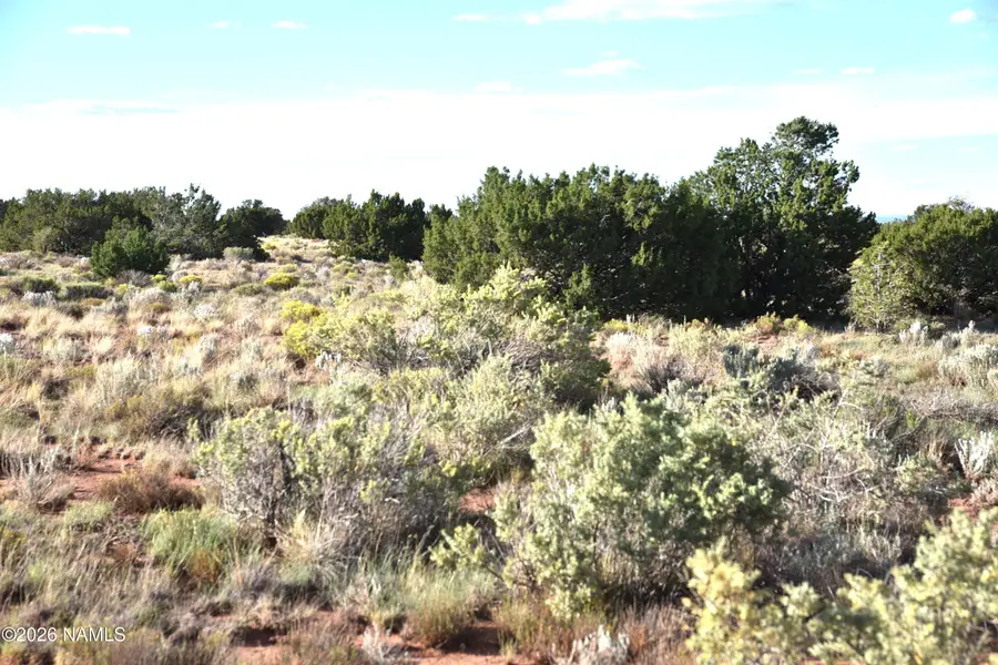 0 N Santa Clara Road, Williams, AZ 86046 - #3