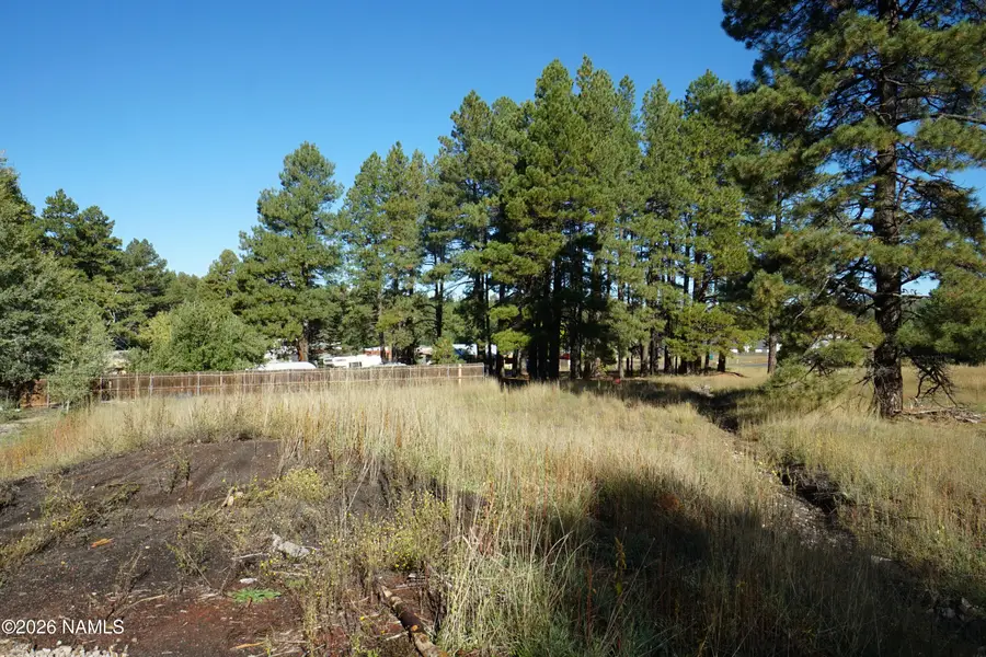 3484 N Shoshone Street, Flagstaff, AZ 86005 - #3