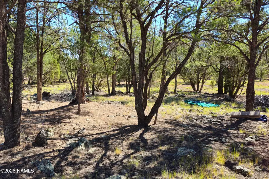 1270 E Alimos Way, Williams, AZ 86046 - #3