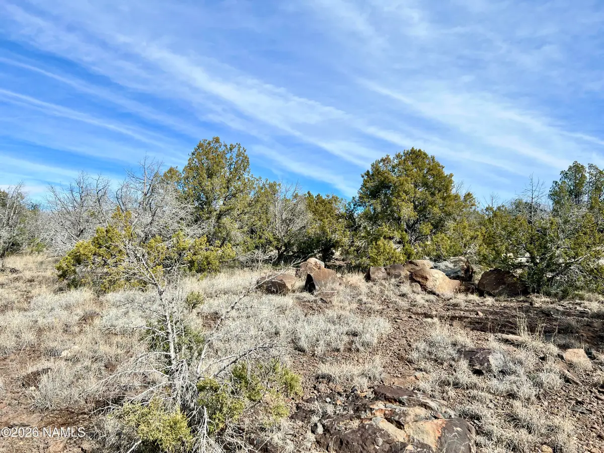 205-18-010 Dunbar Boulevard, Williams, AZ 86046 - #1