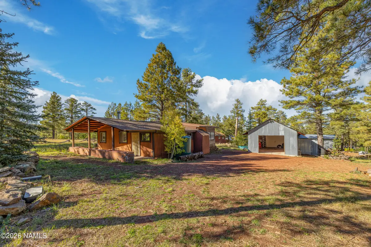 181 Mesa Drive, Mormon Lake, AZ 86038 - #1