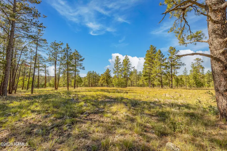 181 Mesa Drive, Mormon Lake, AZ 86038 - #3
