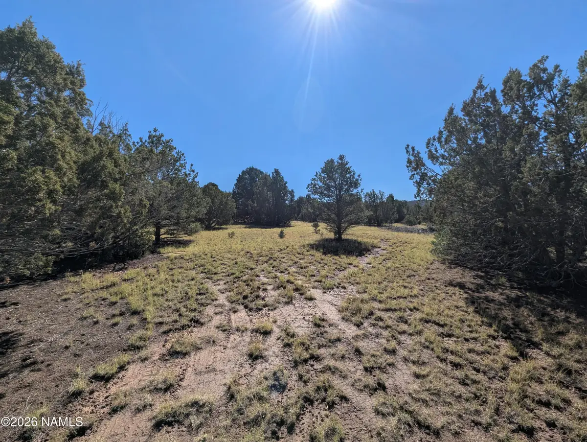 484 E Orchid Drive, Williams, AZ 86046 - #1