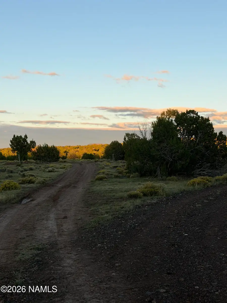 12977 N Rustler Trail, Williams, AZ 86046 - #3
