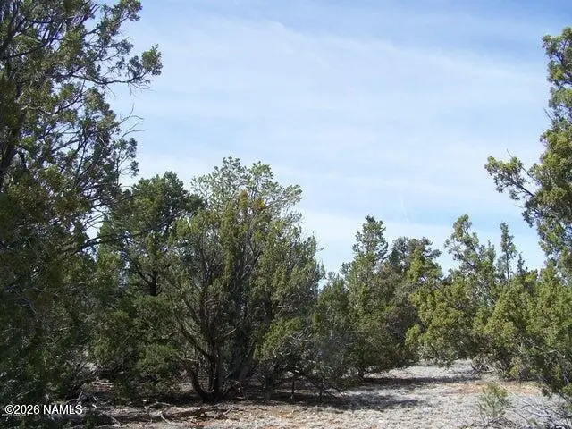 4685 N Cattle Guard Road, Williams, AZ 86046 - #1