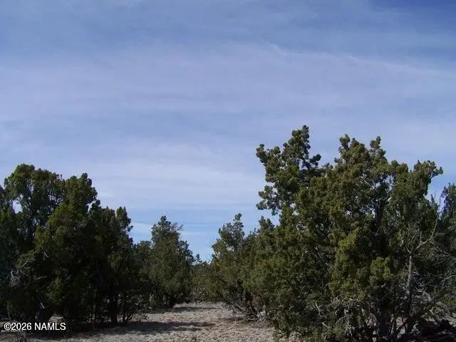 4685 N Cattle Guard Road, Williams, AZ 86046 - #3