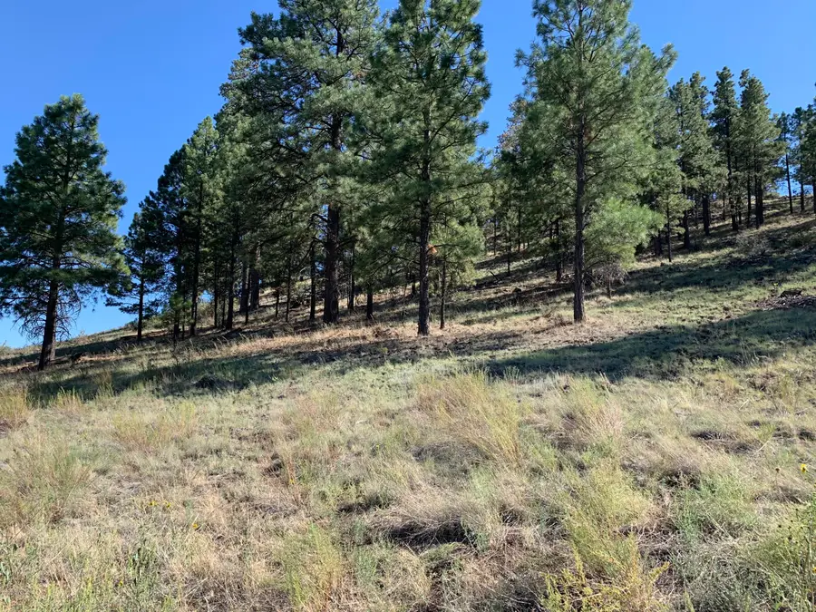 11668 N Rope Arabian Road, Flagstaff, AZ 86004 - #2