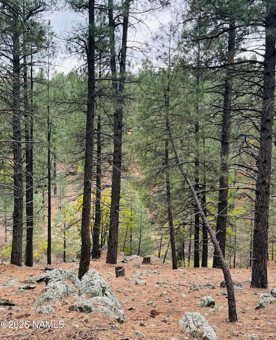 2586 Mesa Trail, Flagstaff, AZ 86005 - #2