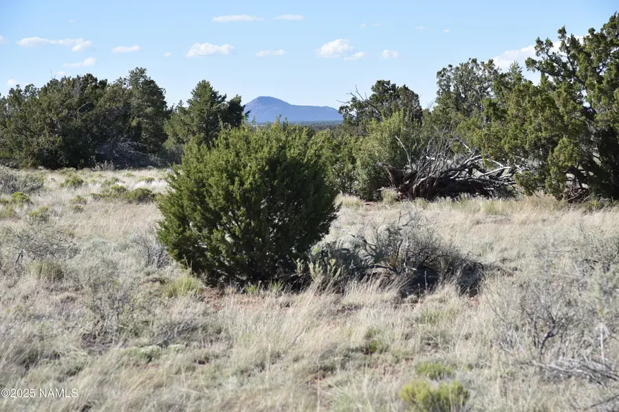 883 S Kenwood Street, Williams, AZ 86046 - #2