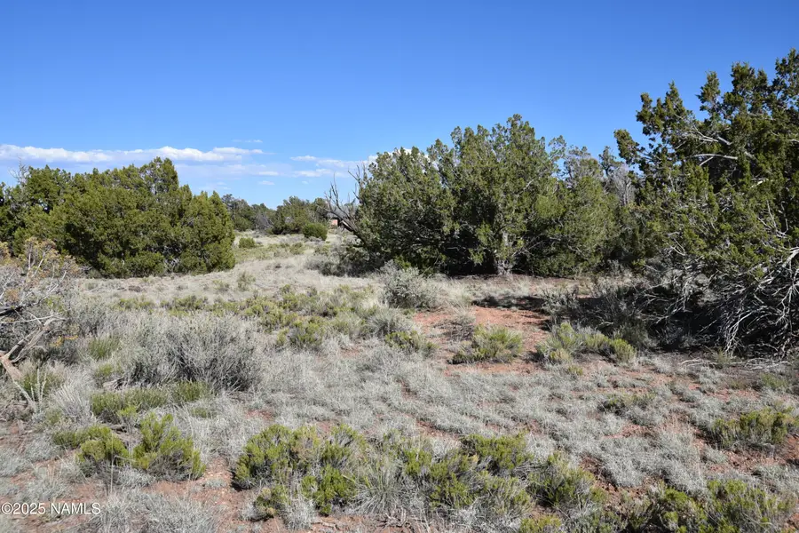 883 S Kenwood Street, Williams, AZ 86046 - #3