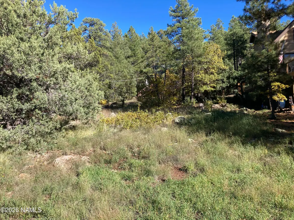 17615 S Mustang Road, Munds Park, AZ 86017 - #1