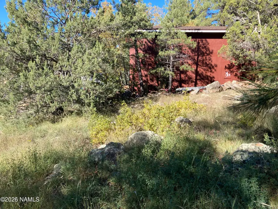 17615 S Mustang Road, Munds Park, AZ 86017 - #3