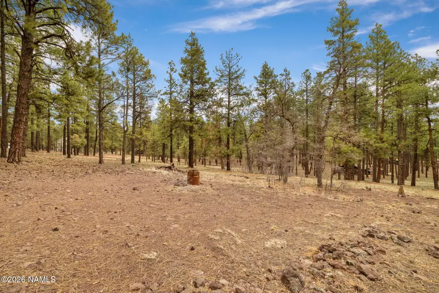 7804 E Long Bow Drive, Williams, AZ 86046 - #2