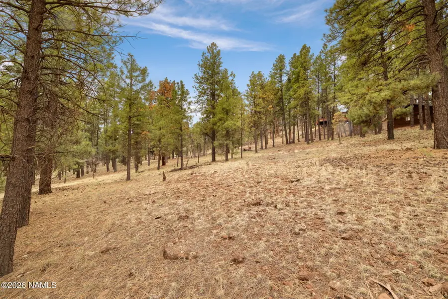 7804 E Long Bow Drive, Williams, AZ 86046 - #3