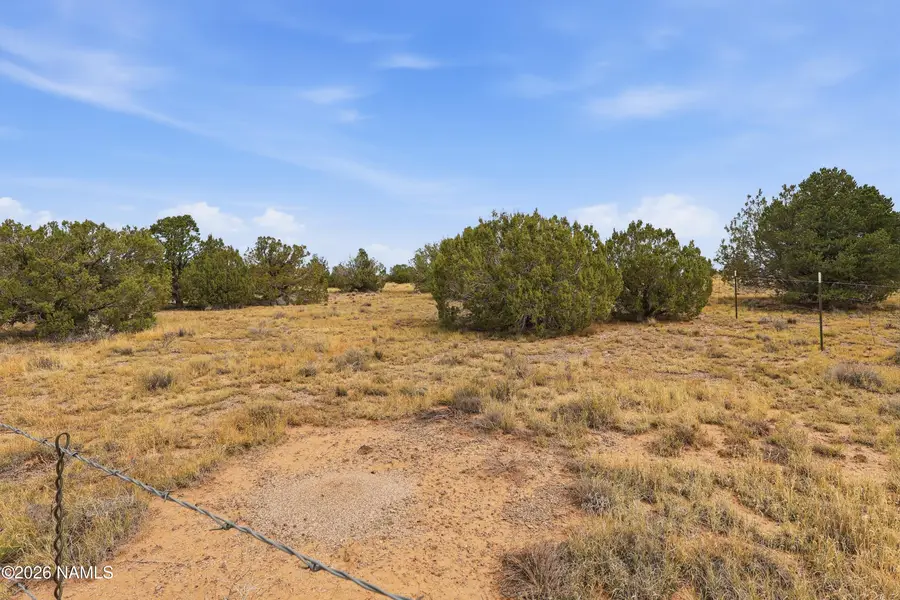 9473 S Big Bear Road, Williams, AZ 86046 - #3