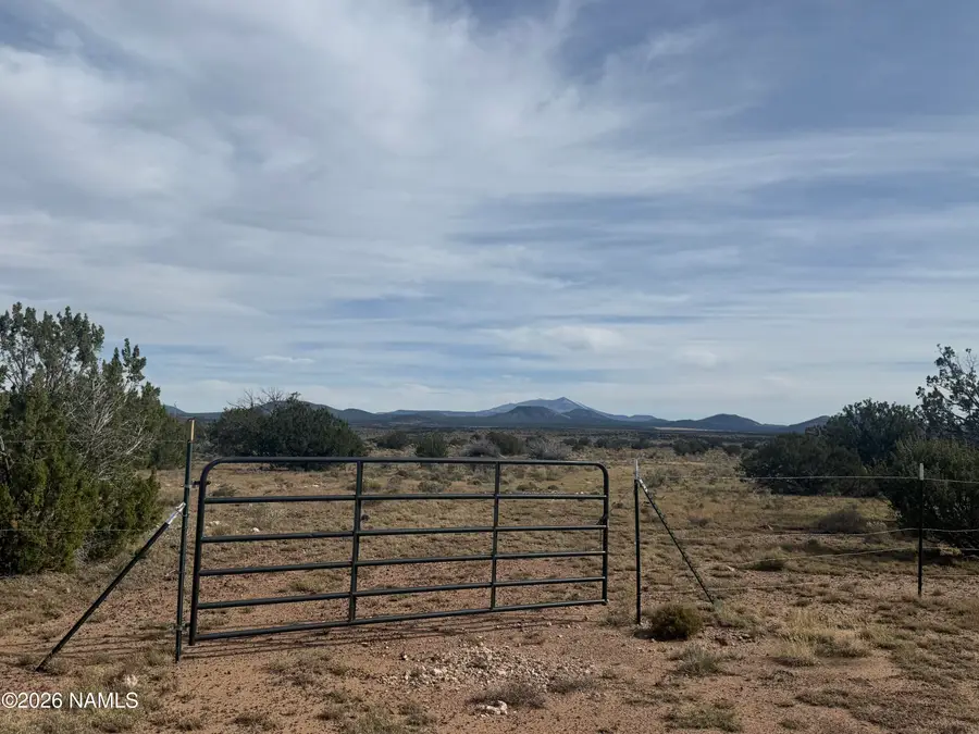 7505 S Big Bear Road, Williams, AZ 86046 - #3