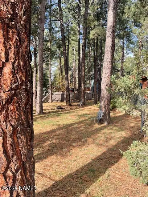 485 Dine, Flagstaff, AZ 86005 - #2