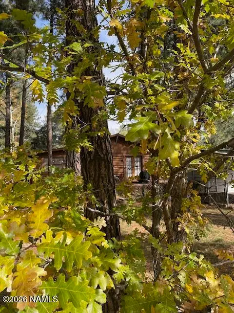 485 Dine, Flagstaff, AZ 86005 - #3