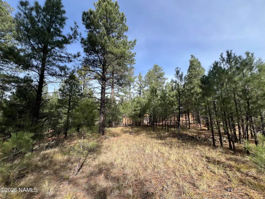 1676 N Locksley Drive, Parks, AZ 86018 - #2
