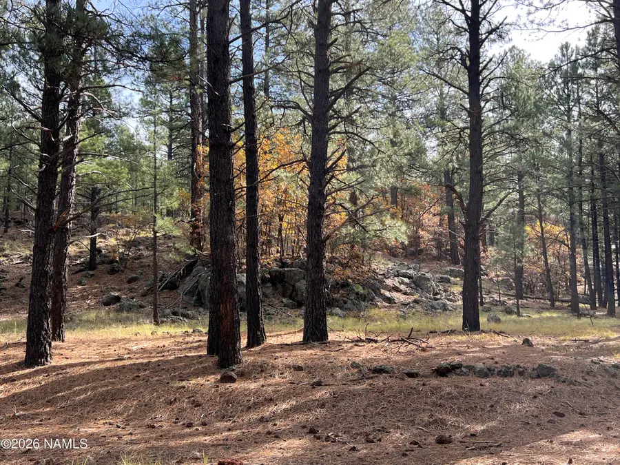 1676 N Locksley Drive, Parks, AZ 86018 - #3