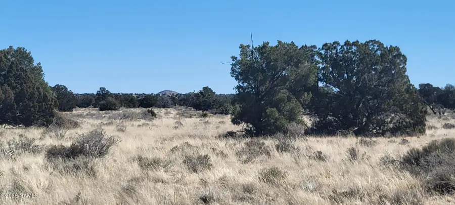 939 N Kaibab Road, Williams, AZ 86046 - #2