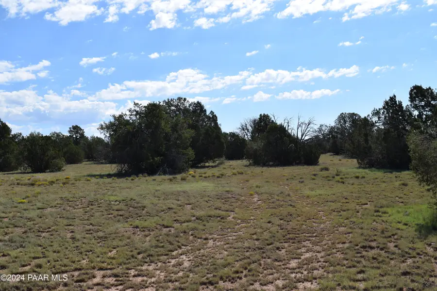 53570 Via De Oro Parkway, Seligman, AZ 86337 - Image #2