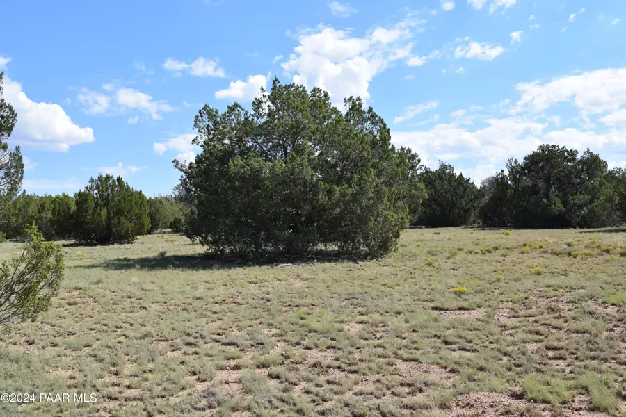 53570 Via De Oro Parkway, Seligman, AZ 86337 - Image #3