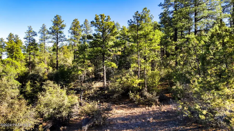 1101 White Spar Road, Prescott, AZ 86303 - Image #2