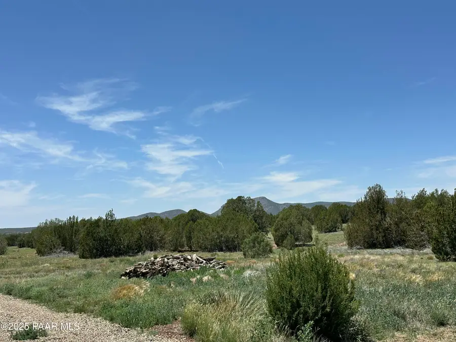 38236 W Howling Coyote Road, Seligman, AZ 86337 - #3