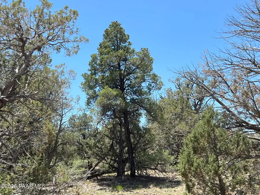 61 Colt Ct Se4 Road, Ash Fork, AZ 86320 - #2