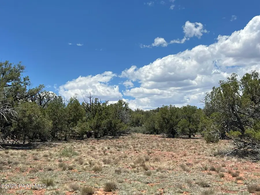 61 Colt Ct Se4 Road, Ash Fork, AZ 86320 - #3