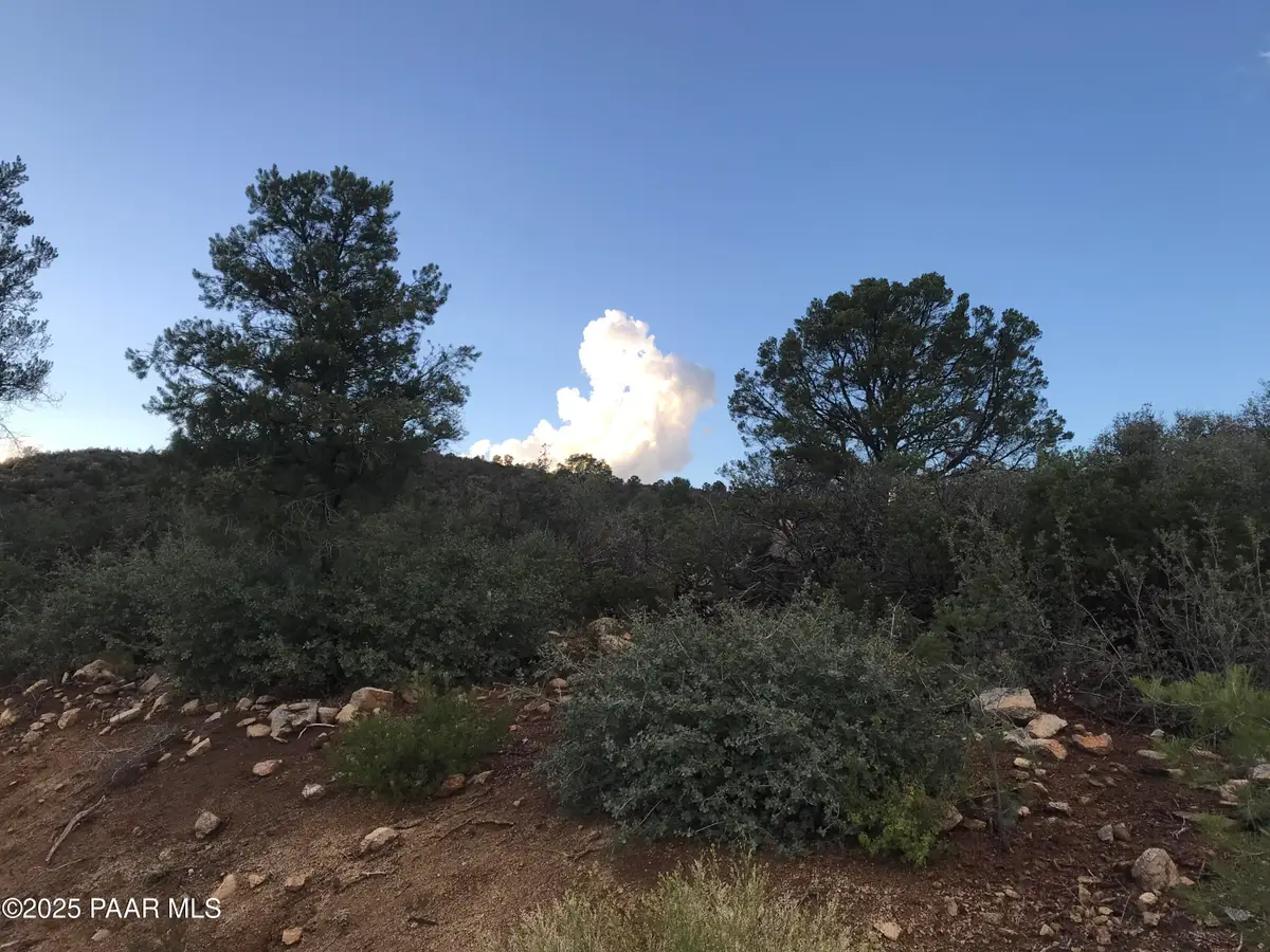 00000 W Buckhorn - W Drive, Peeples Valley, AZ 86332 - Image #1