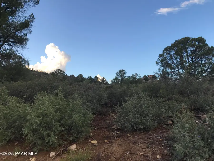 00000 W Buckhorn - W Drive, Peeples Valley, AZ 86332 - Image #2