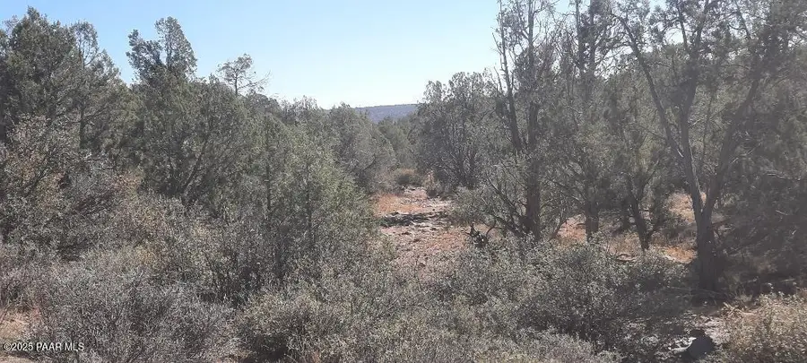 Xxxx Cross Mountain Rd, Seligman, AZ 86337 - Image #2