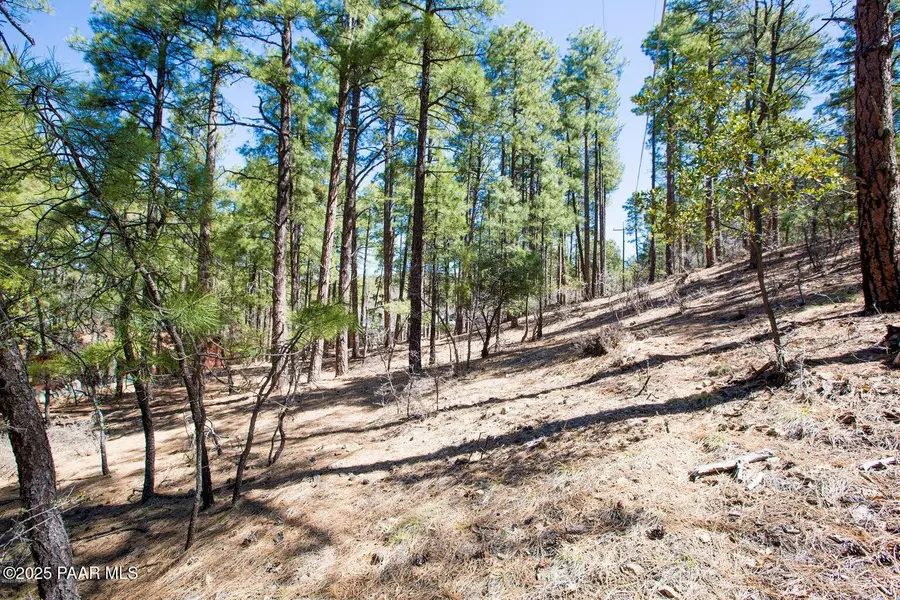 4573 S Loma Drive, Prescott, AZ 86303 - Image #2